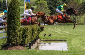 Horses jumping a hedge at the Gold Cup Steeplechase Race