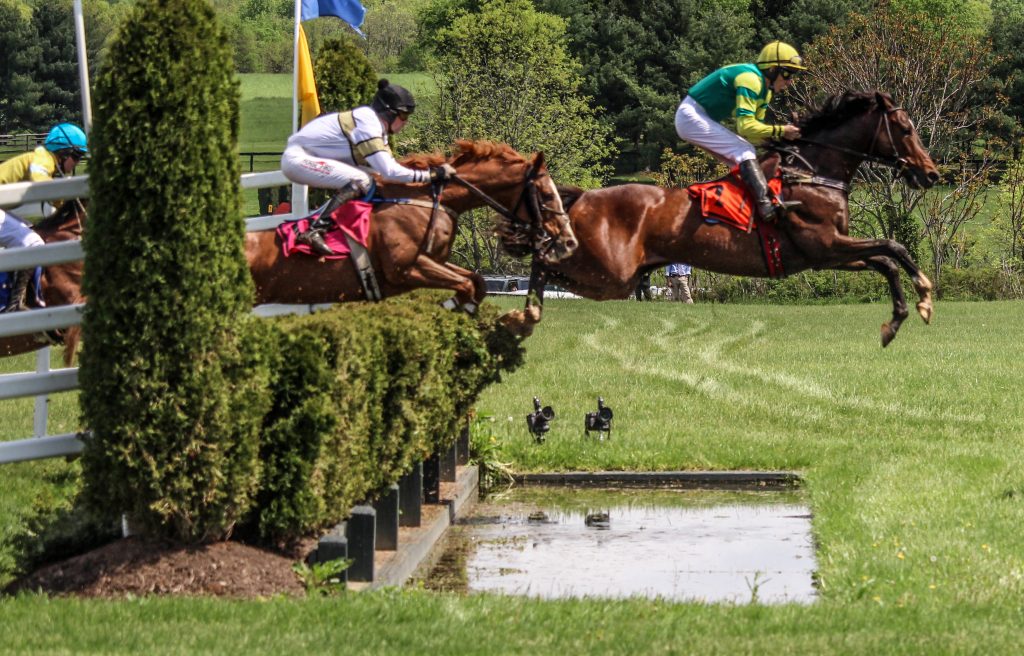 Two brown horses with jockeys leaping over a hedge and water hazard