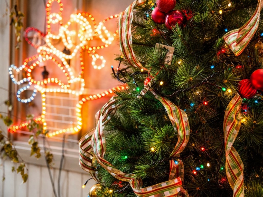 christmas tree and lights